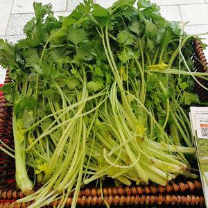 崇明我家的三分地 芹菜 清香 新鲜当季节露天蔬菜农产品 1斤