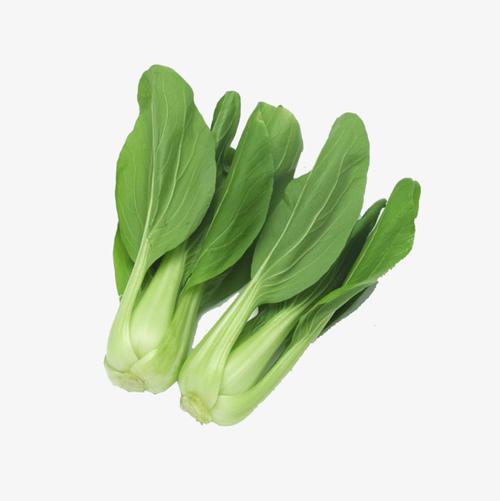 油菜蔬菜绿色食品【高清产品实物png素材】-90设计
